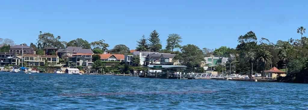 October 2022 Jacaranda Cruise Image -6361c8790780d